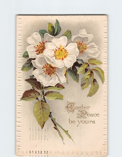 Postcard easter peace yours - postcard,