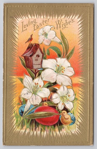 Loving easter wishes bird - loving,