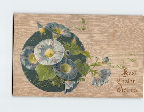 Postcard best easter wishes - easter,