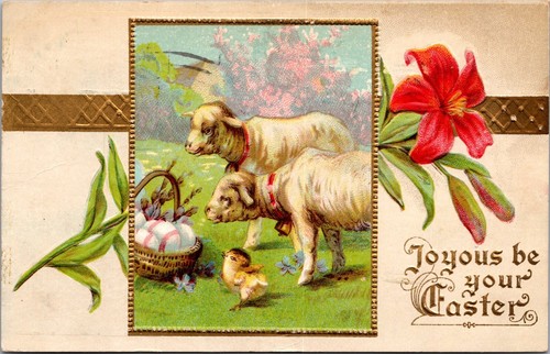 Joyous your easter lambs - be,